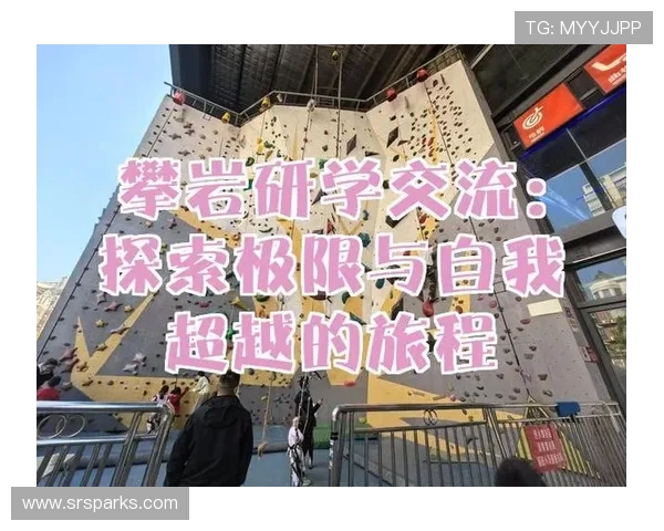 杭州攀岩队比赛经验分享与技巧提升的深入探讨与分析